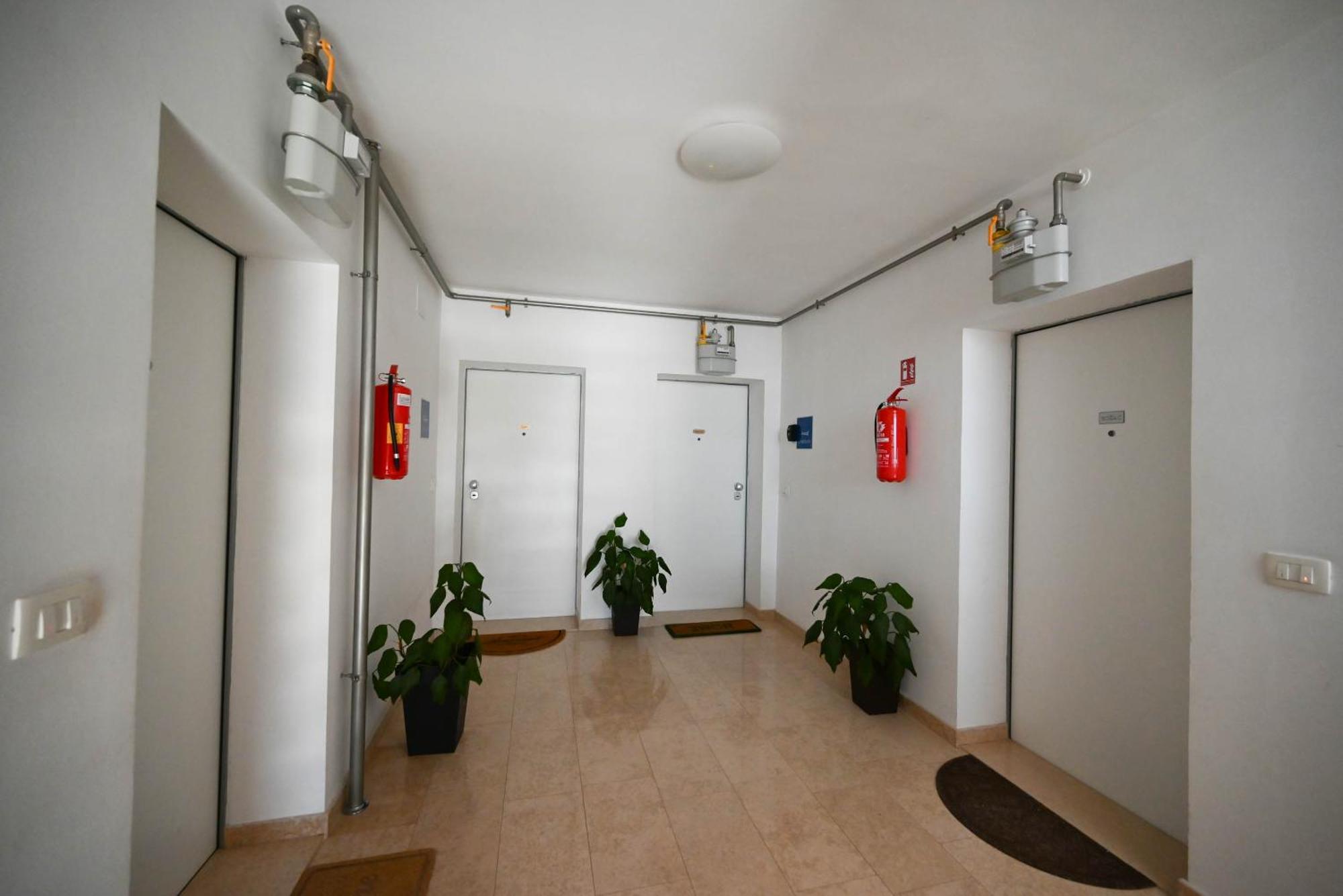 Apartment Emma 罗维尼 外观 照片